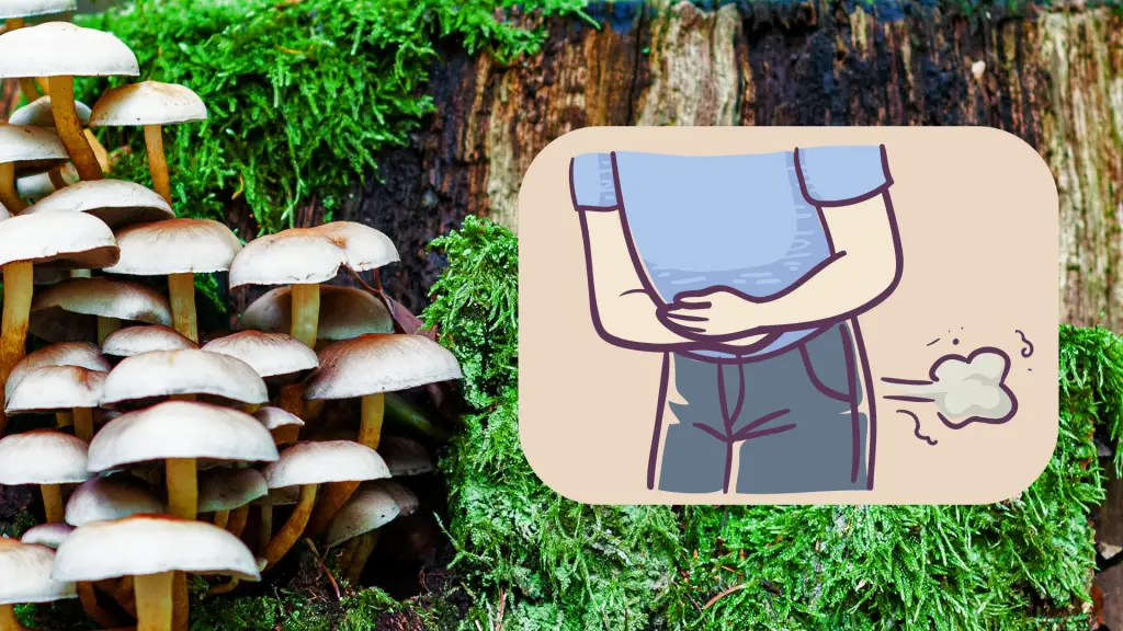 do mushrooms make you fart