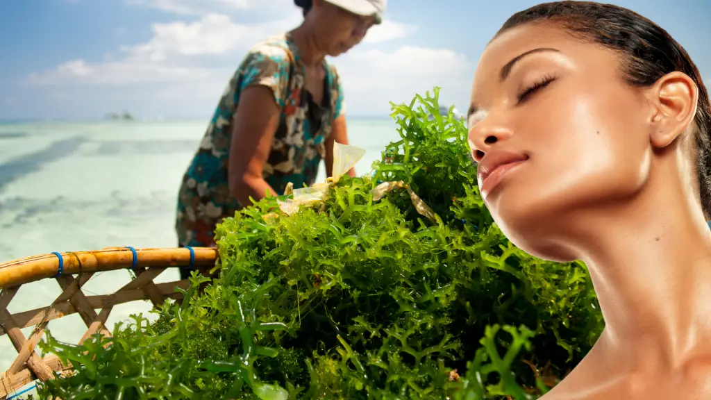 seaweed benefits for your skin